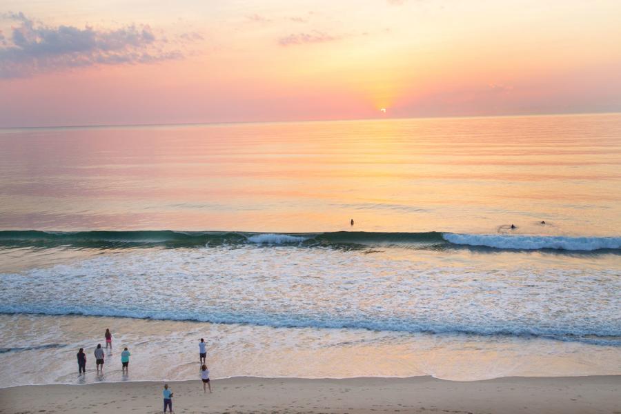 Sunset & Wildlife Tours